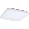 Rabalux Mennyezeti LED lámpa, LED/32 W/230 V