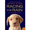  Racing in the Rain – Garth Stein