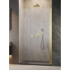 Radaway Nes Brushed Gold DWS szálcsiszolt arany zuhanyajtó 120J