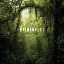  Rainforest – Lewis Blackwell idegen nyelvű könyv