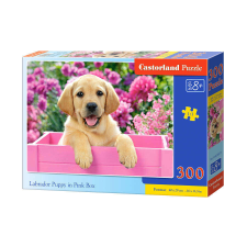 ramiz Castorland puzzle, Labrador kiskutya a rózsaszín dobozban, 300 darab puzzle, kirakós