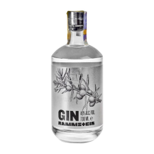  Rammstein gin DRS (0,7L / 40%) gin