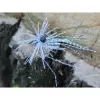  Rapture Tg Finesse Rub.Jig 3,5g#01 Wh/Bl-Prl/Blck 1db műcsali