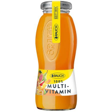 Rauch Üdítőital, szénsavmentes, 0,2 l, RAUCH " Prémium", multivitamin üdítő, ásványviz, gyümölcslé