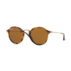 Ray-Ban 2447 1160