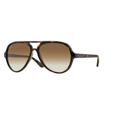 Ray-Ban 4125 710/51 CATS5000 napszemüveg