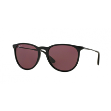 Ray-Ban 4171 ERIKA 601/5Q
