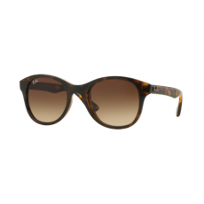 Ray-Ban 4203 710/13