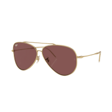 Ray-Ban Aviator Reverse RBR0101S 001/69