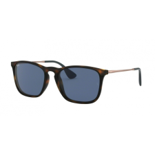 Ray-Ban CHRIS RB4187 6390/8O 54 napszemüveg