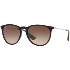 Ray-Ban Erika RB4171 631513