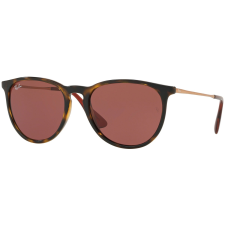 Ray-Ban Erika RB4171 639175 napszemüveg