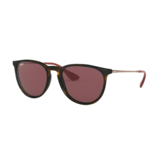 Ray-Ban ERIKA RB4171 6391/75 54 napszemüveg
