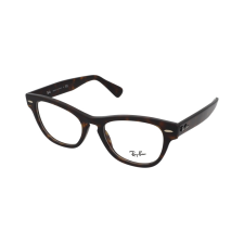 Ray-Ban Laramie RX2201V 2012 szemüvegkeret