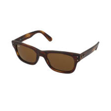 Ray-Ban Mr Burbank RB2283 954/33 napszemüveg