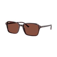 Ray-Ban Napszemüvegek Ray-Ban Raimond RB2231 1416C5