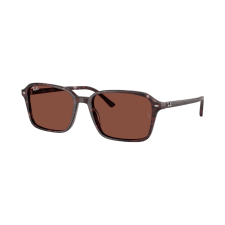 Ray-Ban Raimond RB2231 1416C5 napszemüveg