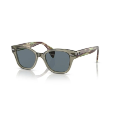 Ray-Ban RAY BAN RB0880S66353R Női napszemüveg napszemüveg