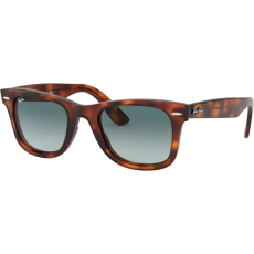 Ray-Ban RAY BAN RB43405063974 UNISEX napszemüveg