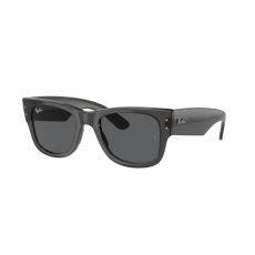 Ray-Ban RB0840S 1406B1