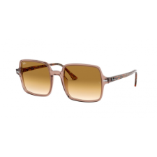 Ray-Ban RB1973 128151 napszemüveg