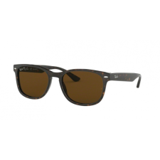 Ray-Ban RB2184 902/57 57 napszemüveg