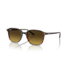 Ray-Ban RB2193 138085 LEONARD STRIPED BROWN & RED GRADIENT BROWN napszemüveg