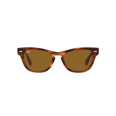 Ray-Ban RB2201 954/33