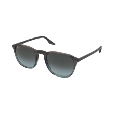 Ray-Ban RB2203 1391/GK napszemüveg