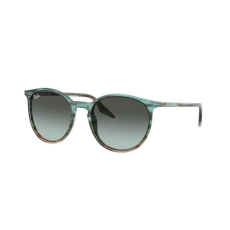 Ray-Ban RB2204 1394GK