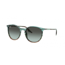 Ray-Ban RB2204 1394GK napszemüveg
