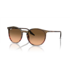 Ray-Ban RB2204 13953B STRIPED BROWN & RED PINK/BROWN GRADIENT napszemüveg napszemüveg