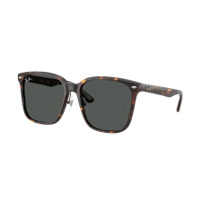 Ray-Ban RB2206D 710/87 Havana Dark Grey napszemüveg napszemüveg