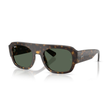 Ray-Ban RB2218 679071 HAVANA GREEN napszemüveg