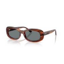 Ray-Ban RB2221 954/62 STRIPED HAVANA BLUE napszemüveg napszemüveg