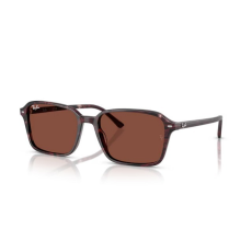 Ray-Ban RB2231 1416C5 RAIMOND TRANSPARENT FANTASY VIOLET/RED RED napszemüveg
