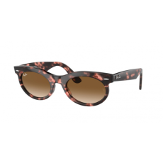 Ray-Ban RB2242 133451