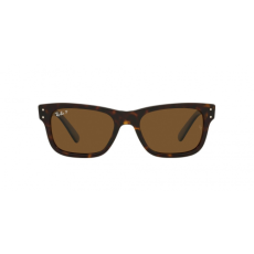 Ray-Ban RB2283 902/57