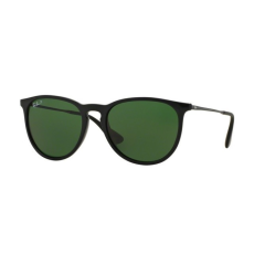 Ray-Ban RB4171 601/2P ERIKA BLACK POLAR GREEN napszemüveg