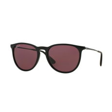 Ray-Ban RB4171 601/5Q ERIKA BLACK POLAR PURPLE napszemüveg