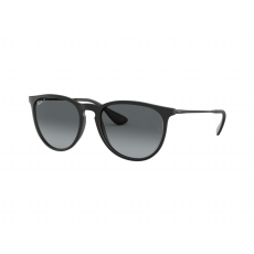 Ray-Ban RB4171 622/T3