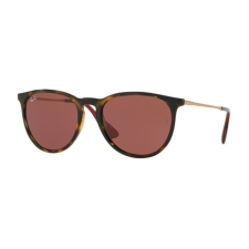 Ray-Ban RB4171 639175 HAVANA DARK RED napszemüveg napszemüveg