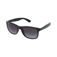 Ray-Ban RB4202 601/8G napszemüveg