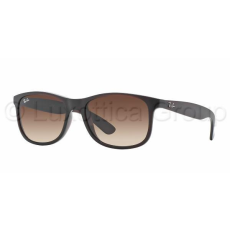 Ray-Ban RB4202 607313 ANDY MATTE BROWN BROWN GRADIENT napszemüveg