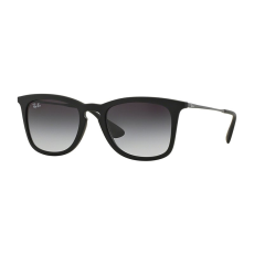 Ray-Ban RB4221 622/8G
