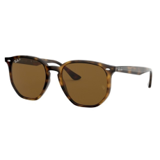Ray-Ban RB4306 710/83 HAVANA POLAR BROWN napszemüveg