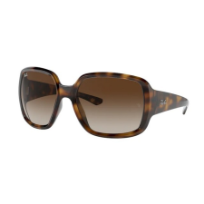 Ray-Ban RB4347 710/13 POWDERHORN HAVANA BROWN GRADIENT DARK BROWN napszemüveg napszemüveg