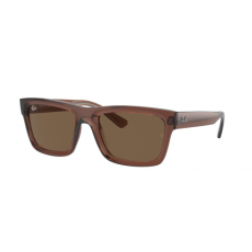 Ray-Ban RB4396 667873