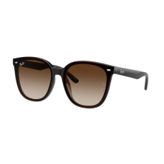Ray-Ban RB4423D 714/13
