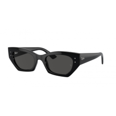 Ray-Ban RB4430 667787